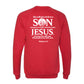 Matthew 1:21 Sweatshirt